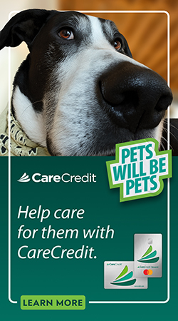 12965842_Vet_Q4 Vet Association Support_Sept25_250x450_Buddy