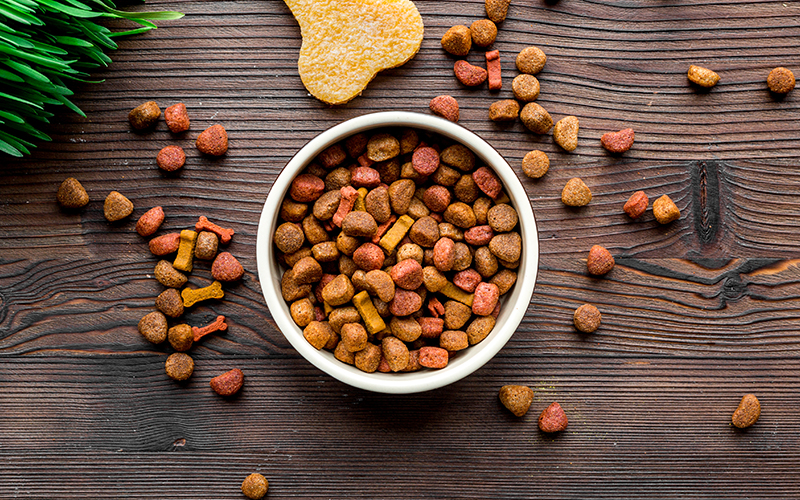 Evaluating the Quality of Pet Food